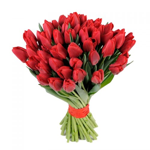Фото товара 51 красный тюльпан в Покровске