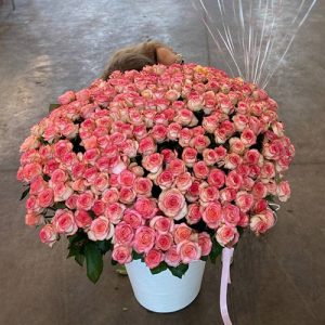 букет из 301 розы в Покровске фото