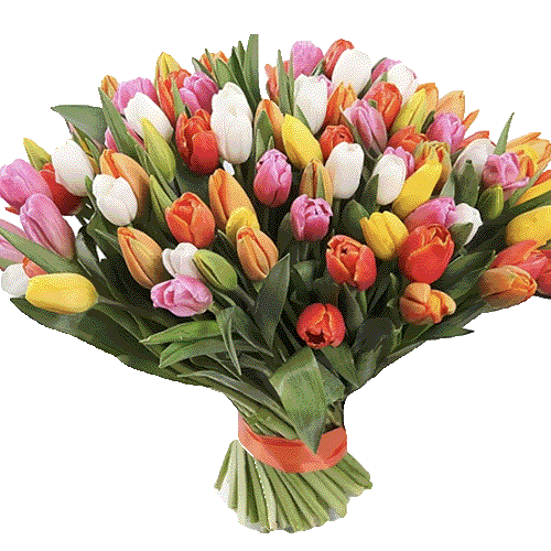 Фото товара 101 разноцветный тюльпан в Покровске