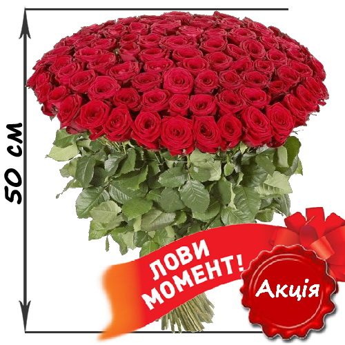 Фото товара 101 красная роза (50см) в Покровске