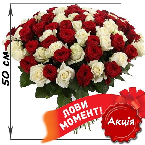 Фото товара 101 роза микс красная и белая (50 см) в Покровске