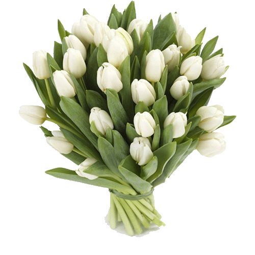 Фото товара 25 белых тюльпанов в Покровске