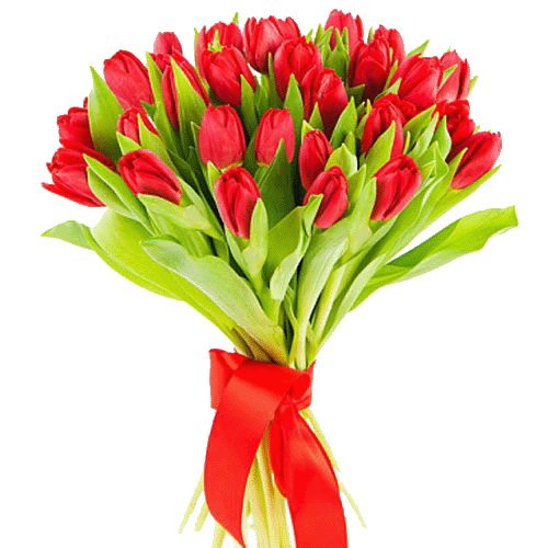 Фото товара 25 красных тюльпанов в Покровске