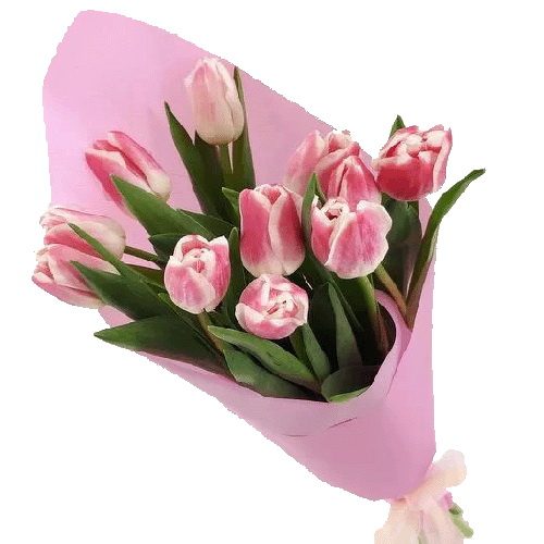 Фото товара 11 розовых тюльпанов в Покровске