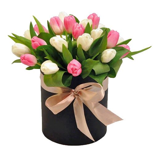 Фото товара 25 тюльпанов в коробке в Покровске