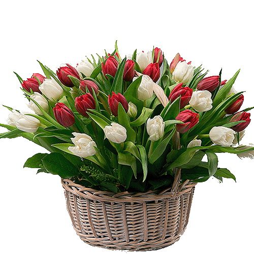 Фото товара 51 тюльпан в корзине в Покровске