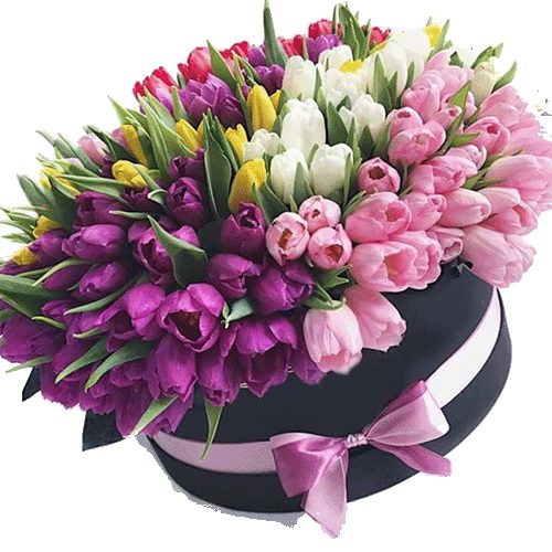 Фото товара 151 тюльпан в шляпной коробке в Покровске