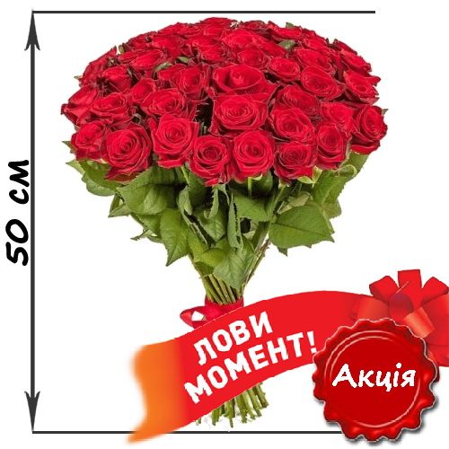 Фото товара 51 красная роза (50см) в Покровске