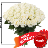 Фото товара 51 белая роза (50 см) в Покровске