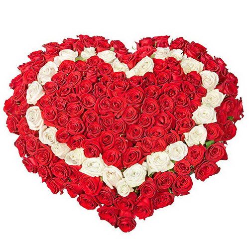 Фото товара 101 роза сердцем - красная, белая, красная в Покровске