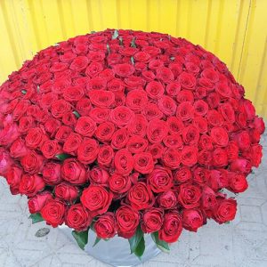букет из 501 красной розы в Покровске фото