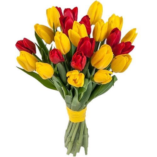 Фото товара 15 красно-жёлтых тюльпанов (с лентой) в Покровске