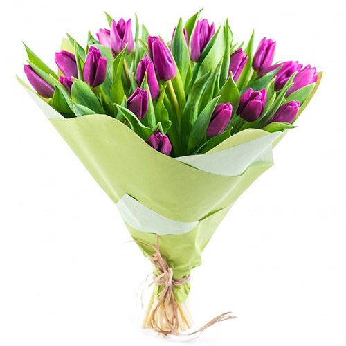 Фото товара 25 пурпурных тюльпанов в Покровске
