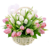 Фото товара 25 нежно-розовых тюльпанов в Покровске