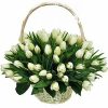 Фото товара 45 белых тюльпанов "Ангел мой" в Покровске