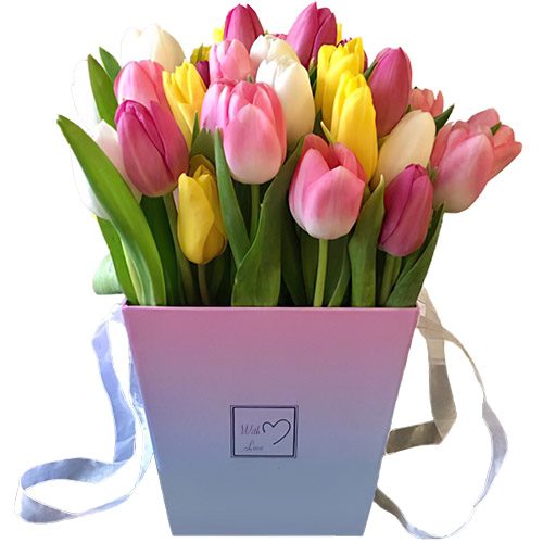 Фото товара 31 тюльпан "Весенний ветер" в квадратной коробке в Покровске