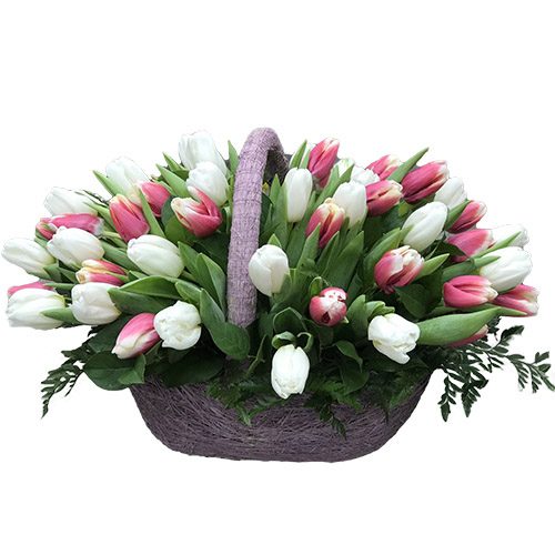 Фото товара 51 бело-розовый тюльпан в корзине в Покровске