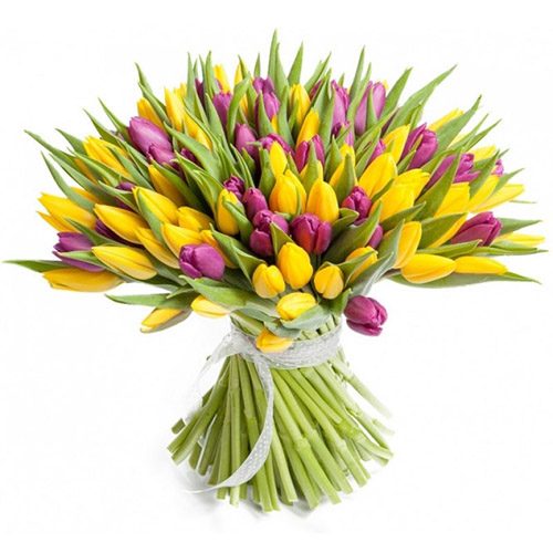 Фото товара 75 фиолетово-жёлтых тюльпанов в Покровске