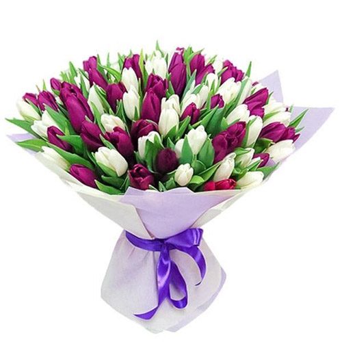 Фото товара 75 пурпурно-белых тюльпанов в Покровске