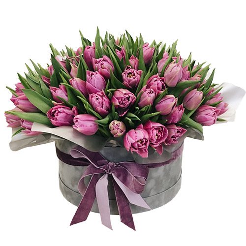 Фото товара 101 пурпурный тюльпан в коробке в Покровске