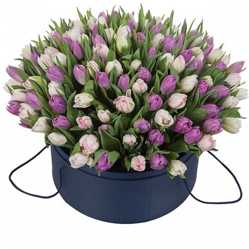 Фото товара 201 тюльпан (два цвета) в коробке в Покровске