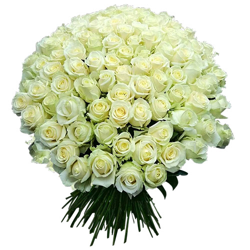 Фото товара 101 белая роза в Покровске