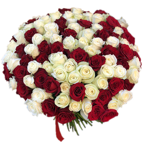 Фото товара 101 красная и белая роза в Покровске