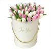 Фото товара 51 бело-розовый тюльпан в коробке в Покровске