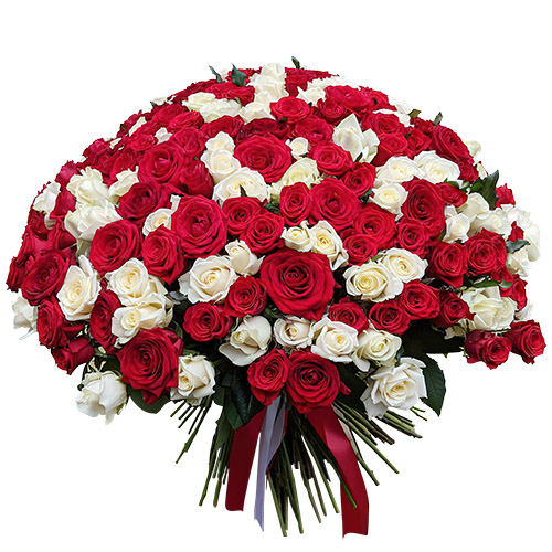 Фото товара 201 красная и белая роза в Покровске
