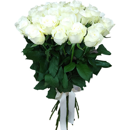 Фото товара 25 белых роз в Покровске