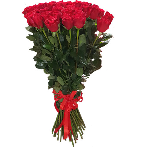 Фото товара 25 метровых роз "Фридом" в Покровске