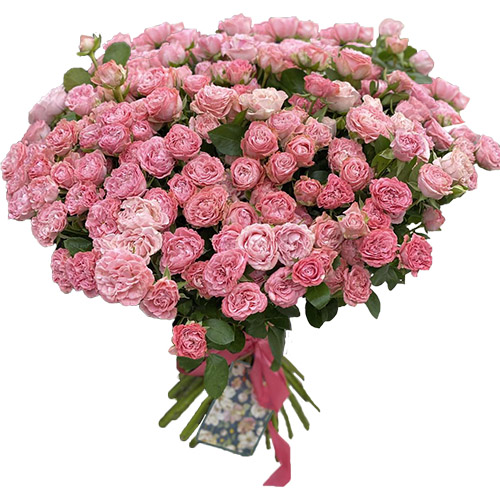 Фото товара 33 кущові піоноподібні троянди в Покровске