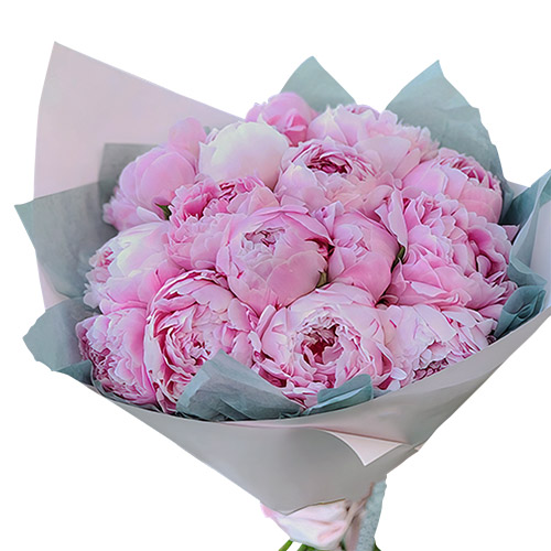 Фото товара 19 розовых пионов в Покровске