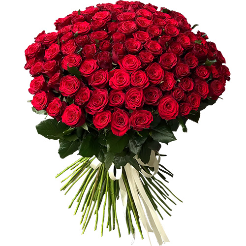 Фото товара 101 троянда червона в Покровске
