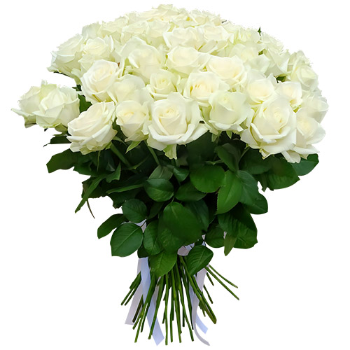 Фото товара 51 троянда біла в Покровске