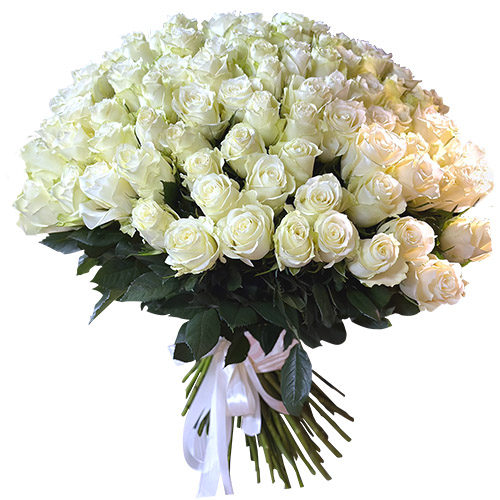 Фото товара 101 белая импортная роза в Покровске