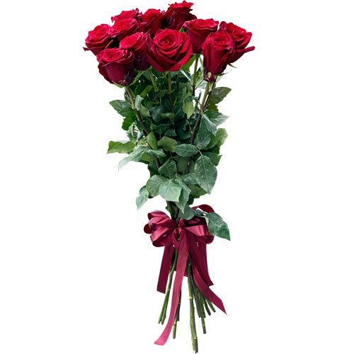 Фото товара 11 метровых роз в Покровске