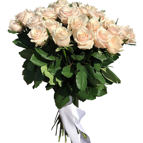 Фото товара Букет із 33 кремових троянд в Покровске