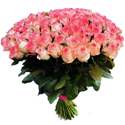 Фото товара Букет троянд 101 Джамілія в Покровске